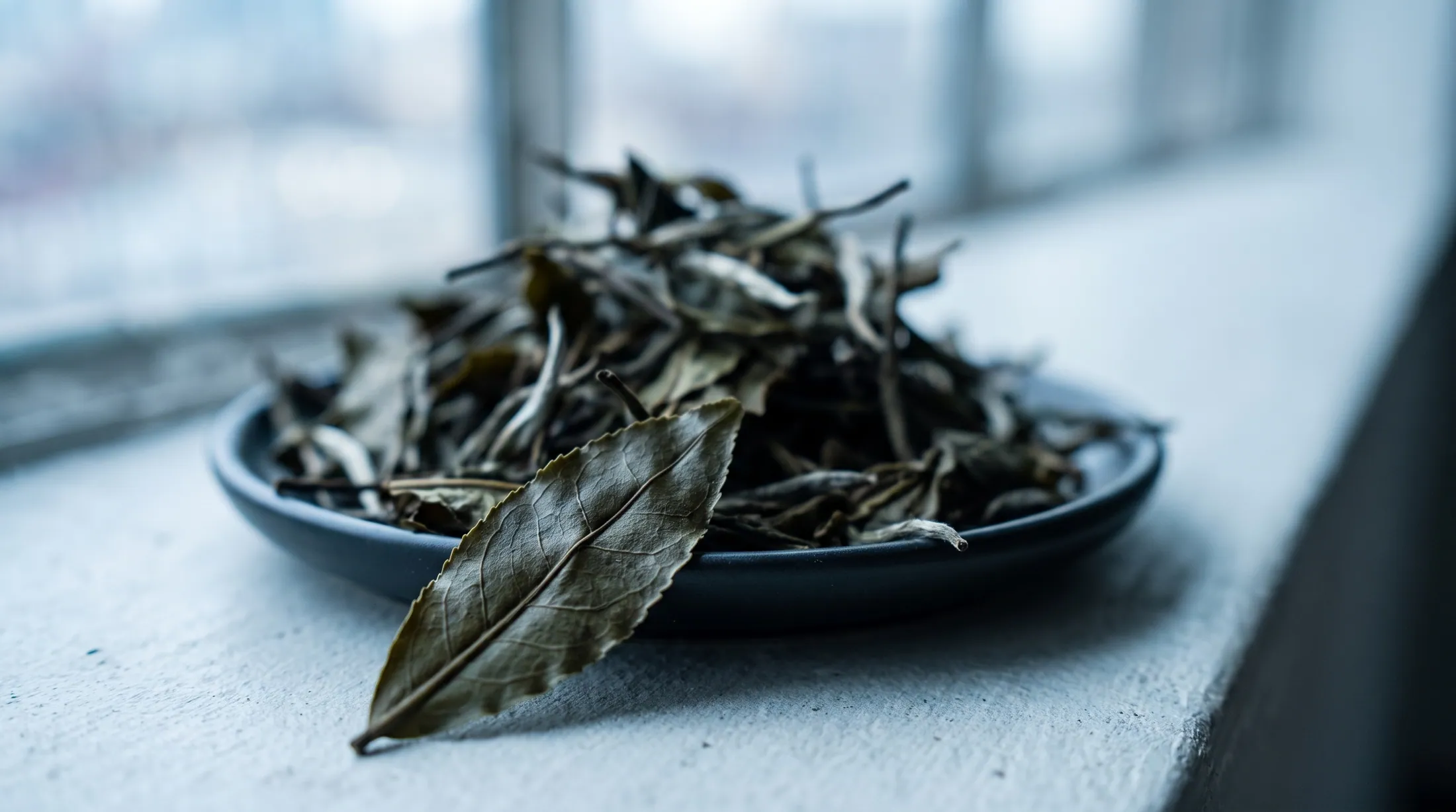 Large, thick sun-dried maocha leaves from old pu-erh tea trees, with long stems and silvery buds.