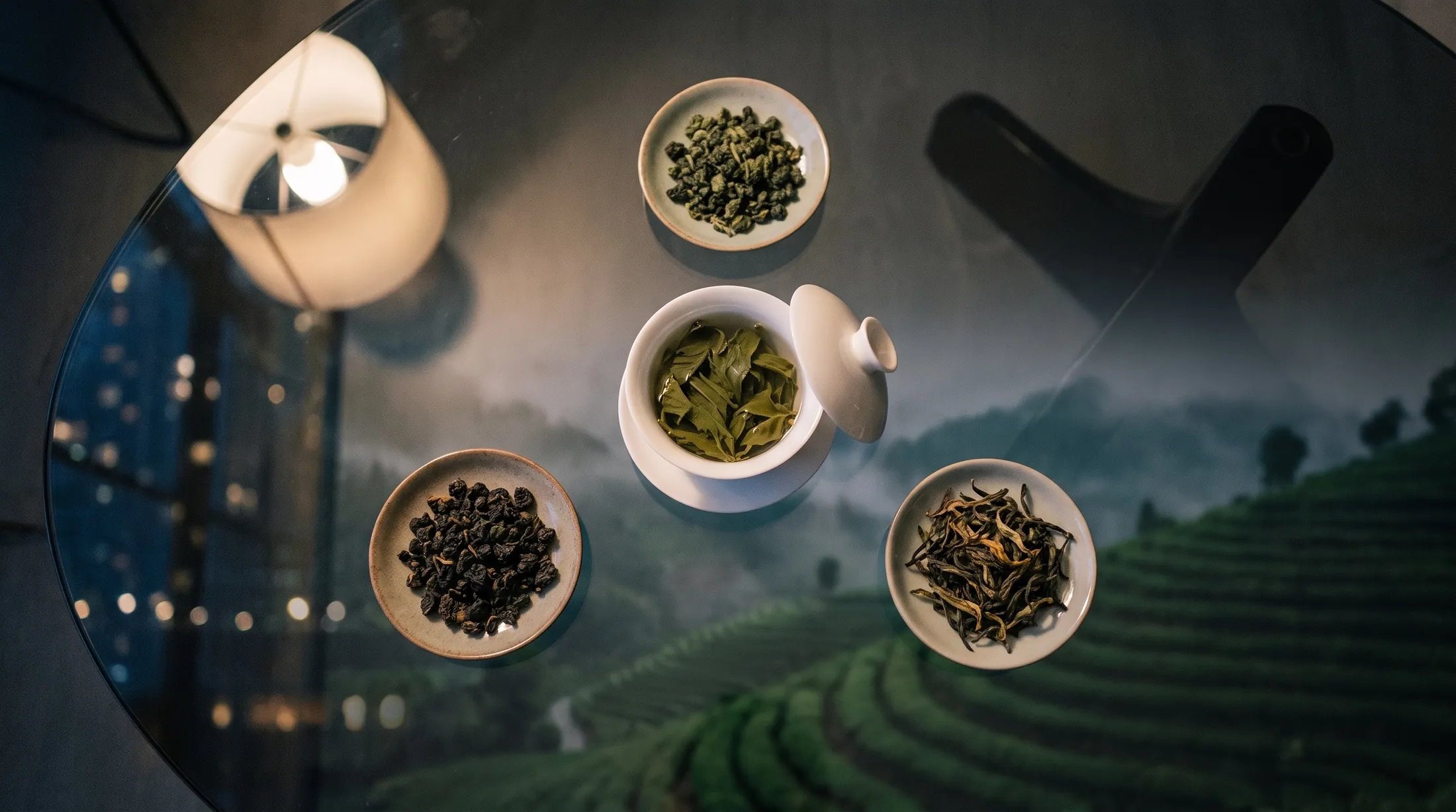 Tea gardens in Taiwan's central mountains